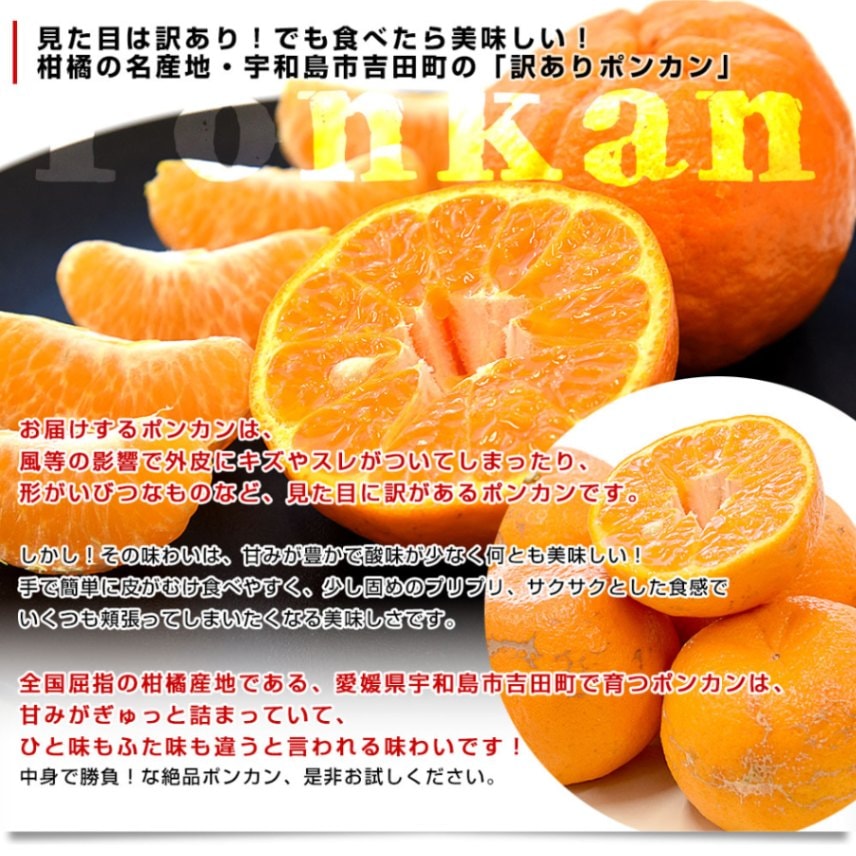 愛媛県 宇和島市吉田町 訳ありポンカン 3Lから2Lサイズ 約2.8キロ (11
