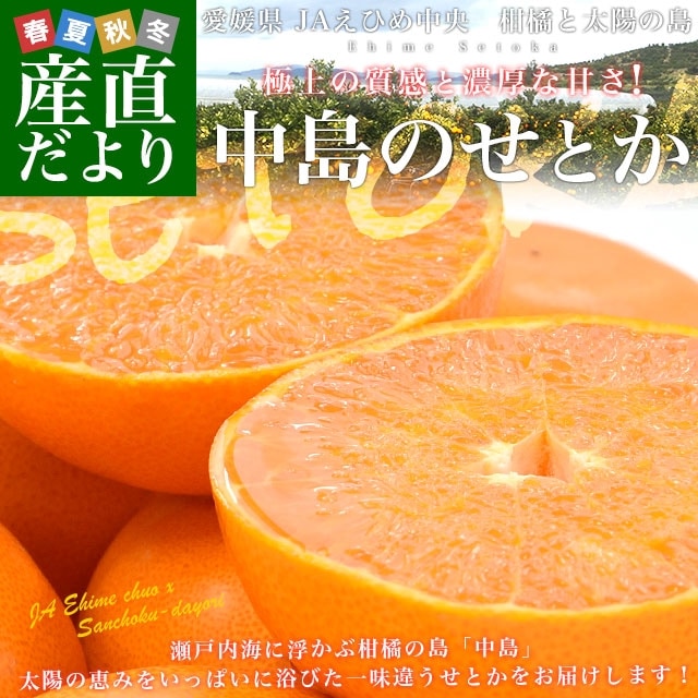 ビックサイズきたーーー‼️JA愛媛中央!中島のまどんな約5k 5箱 ビックサイズきたーー‼️JA愛媛中央!中島のまどんな約5kジャスト