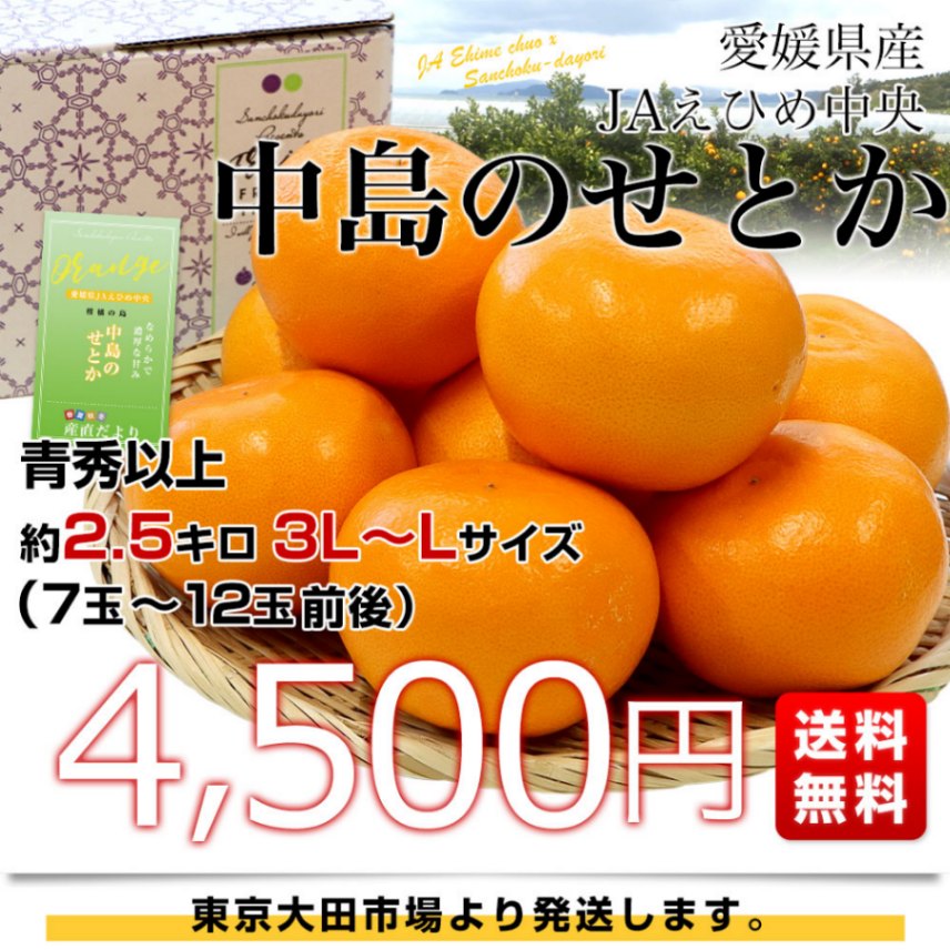 ビックサイズきたーーー‼️JA愛媛中央!中島のまどんな約5k 5箱 楽天市場】【訳あり】希望の島 中島まどんな 5kg サイズ込 紅ま