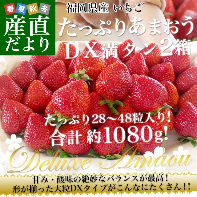 ʡ Ķꤢޤ DX äפ2Ȣ 1080g ʹ28γ48γˡ540g2Ȣ ̵ ޥ ǥå    