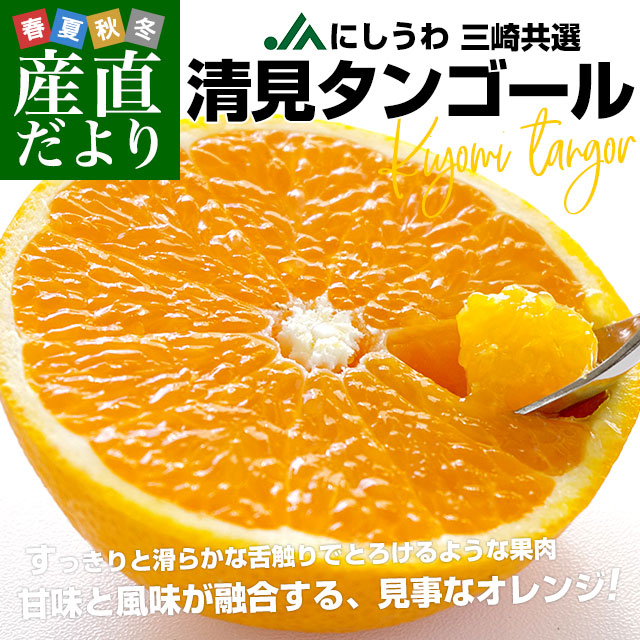 愛媛県産 JAにしうわ三崎共選 清見タンゴール 良品以上 2LからLサイズ