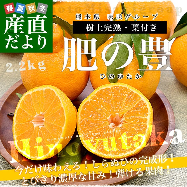 ゆら様の商品です。 熊本県味咲グループ 樹上完熟・葉付き「肥の豊（ひのゆたか）」赤秀品