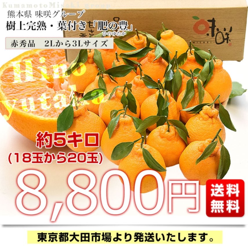 熊本県味咲グループ 樹上完熟・葉付き「肥の豊（ひのゆたか）」赤秀品