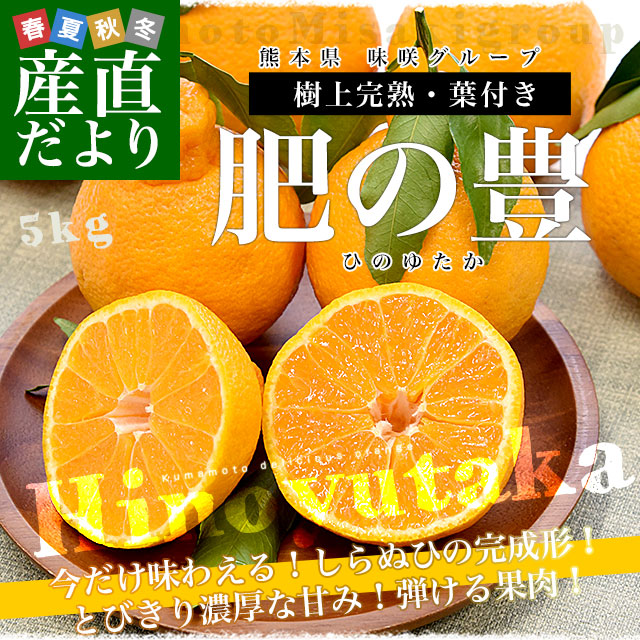 熊本県産 不知火 サイズおまかせ (20kg) 熊本県産 不知火サイズおまかせ20kg｜Yahoo!フリマ（旧PayPayフリマ）
