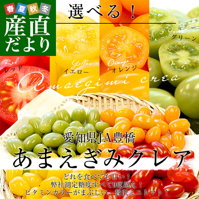 愛知県 JA豊橋 選べるあまえぎみクレアミニトマト 各種約1キロ（レッド
