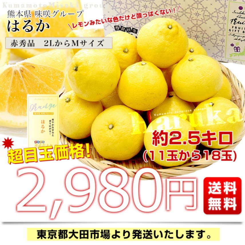 熊本県味咲グループ はるか 赤秀品 2LからMサイズ 約2.5キロ（11玉から