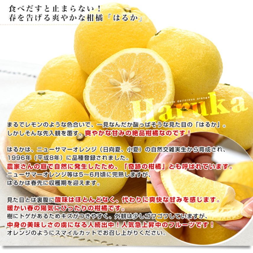 熊本県味咲グループ はるか 赤秀品 2LからMサイズ 約2.5キロ（11