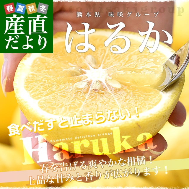 熊本県味咲グループ はるか 赤秀品 2LからMサイズ 約2.5キロ（11玉から