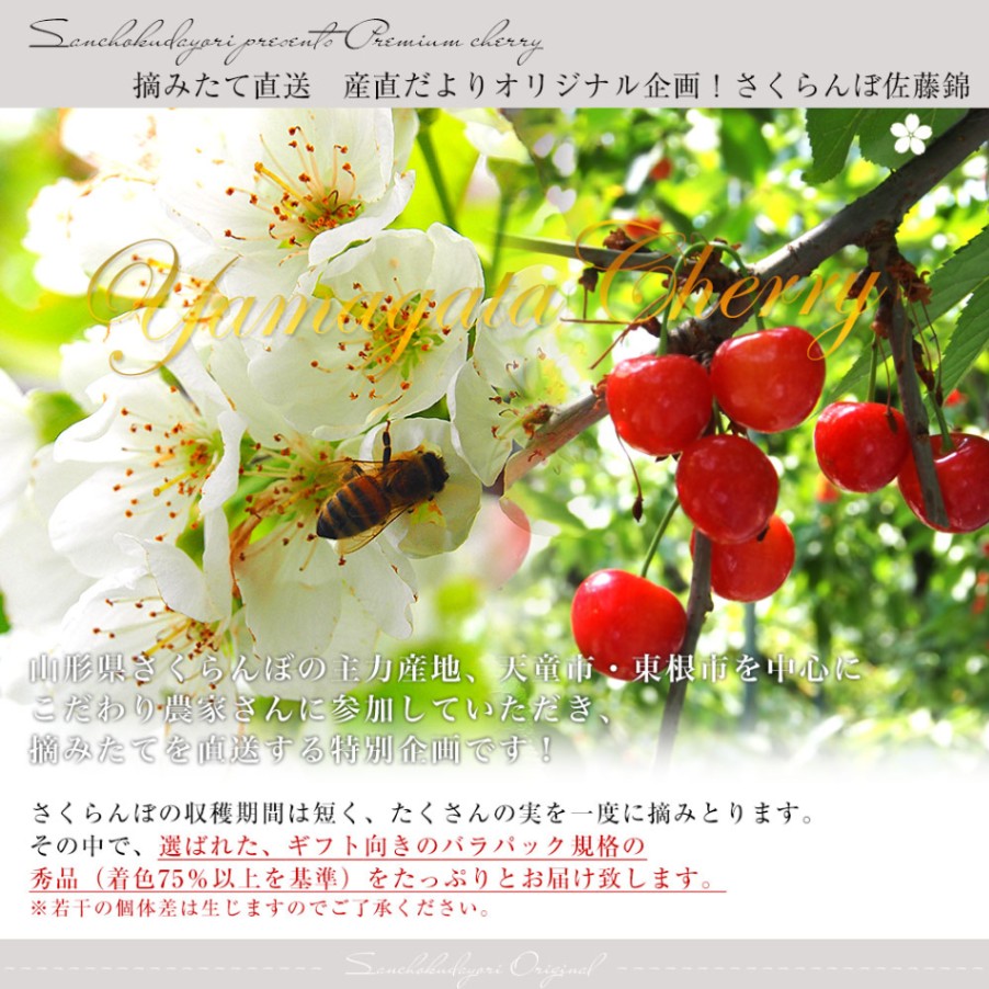 断捨離☆ 紙もの大量　80サイズ まとめ売り　セール B4未晒クラフト紙 10枚 ×10セット 4906327043668 | Komoda's S