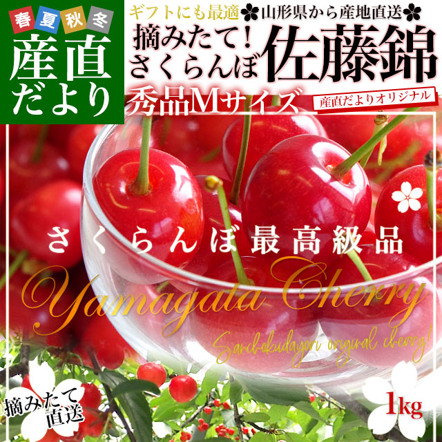 山形県より産地直送 さくらんぼ佐藤錦 Mサイズ 秀品1キロ (500g×2P入