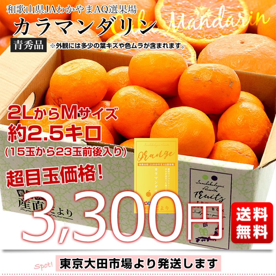 和歌山県 JAわかやま AQ選果場 カラマンダリン 青秀品 約2.5キロ 2L