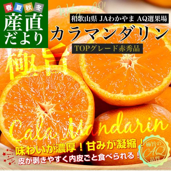 �²λ��� JA�狼���AQ���̾� ����ޥ����� TOP���졼���ֽ��� ��2.5���� 2L����M������ ��15�̤���23������� ����̵�� ���� �ߤ���