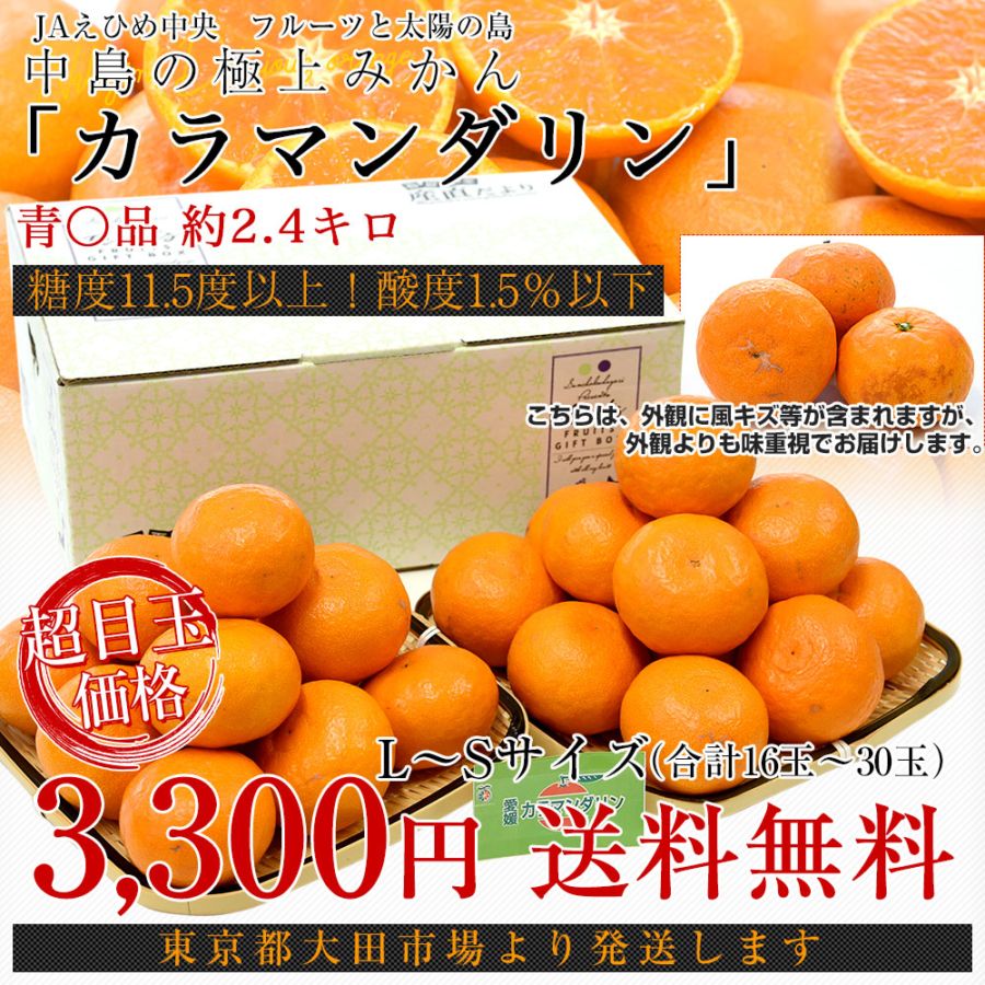 愛媛県産 JAえひめ中央 中島のカラマンダリン ご家庭用 青○品 約2.4