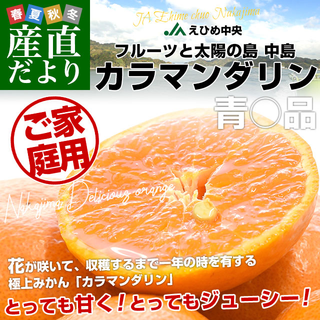 愛媛県産 JAえひめ中央 中島のカラマンダリン ご家庭用 青○品 約2.4