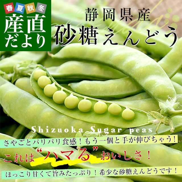 �Ų����� ��������ɤ� ��500g A�� 2L����L������ ����̵�� ���䤨��ɤ� ����ɤ�Ʀ 