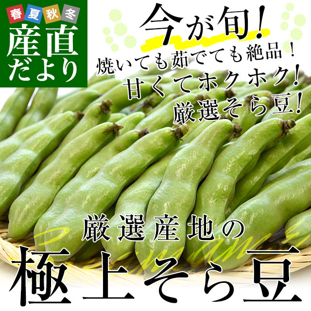 そら豆！ そら豆 一寸そら豆の有機のタネの通販 | グリーンマーケット