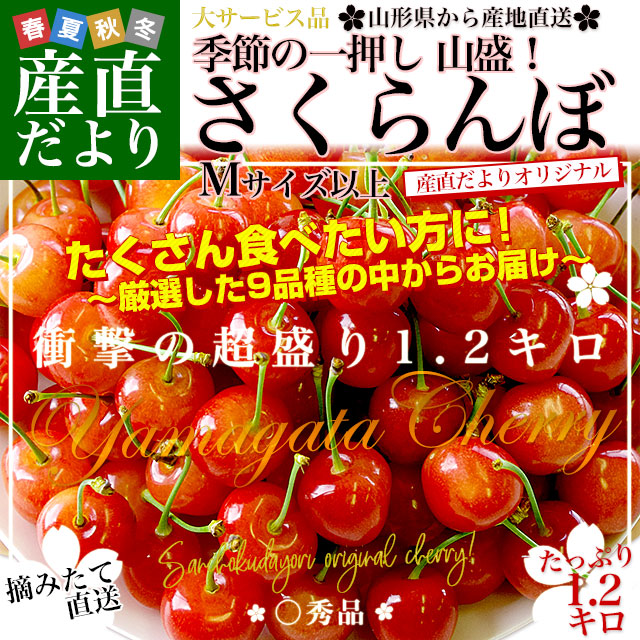 龍鳳、送料分 お中元 さくらんぼ 佐藤錦 or 紅秀峰 700g（350g×2） 秀品