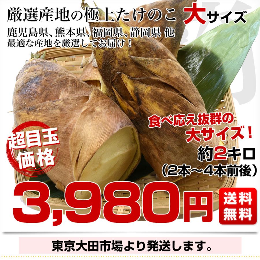 厳選産地の極上たけのこ 大サイズ 約2キロ（2本から4本前後