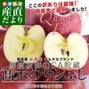 �Ŀ�����껺��ľ�� ���ھ�Ź �ޥ륿���֥��� ����դ���� CA��¢�� ̣ͥ�����ͳ���� ��3���� (9�̤���11����) �Ӹ� ��� �ŷ� ���� ����̵��