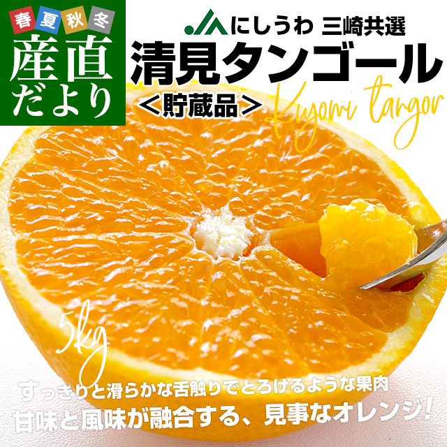 愛媛県産 JAにしうわ三崎共選 清見タンゴール（貯蔵品）秀品 2LからL