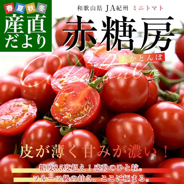 和歌山県 JA紀州 ミニトマト 赤糖房（あかとんぼ）秀品 約800g