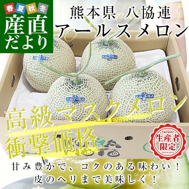 熊本県産　アールスメロン　4-5玉 JAかもと『大玉 赤肉アールスメロン』熊本県産 百合〜藤 計約8kg