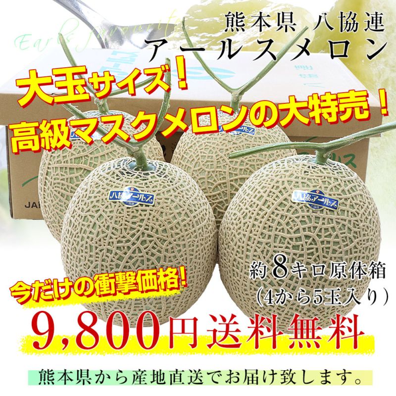 熊本県から産地直送 八協連 アールスメロン 大玉 約8キロ（4玉から5玉