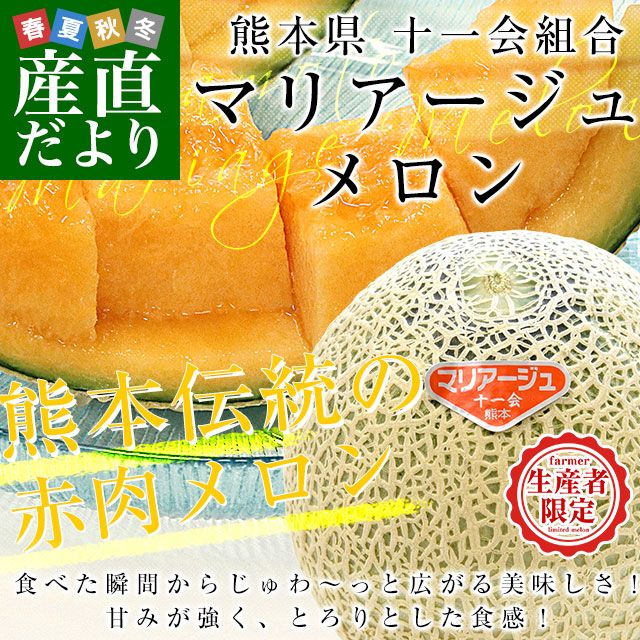 ܸ黺ľ ȹ ޥꥢ  3L4L 53̤4̵̡  ե 