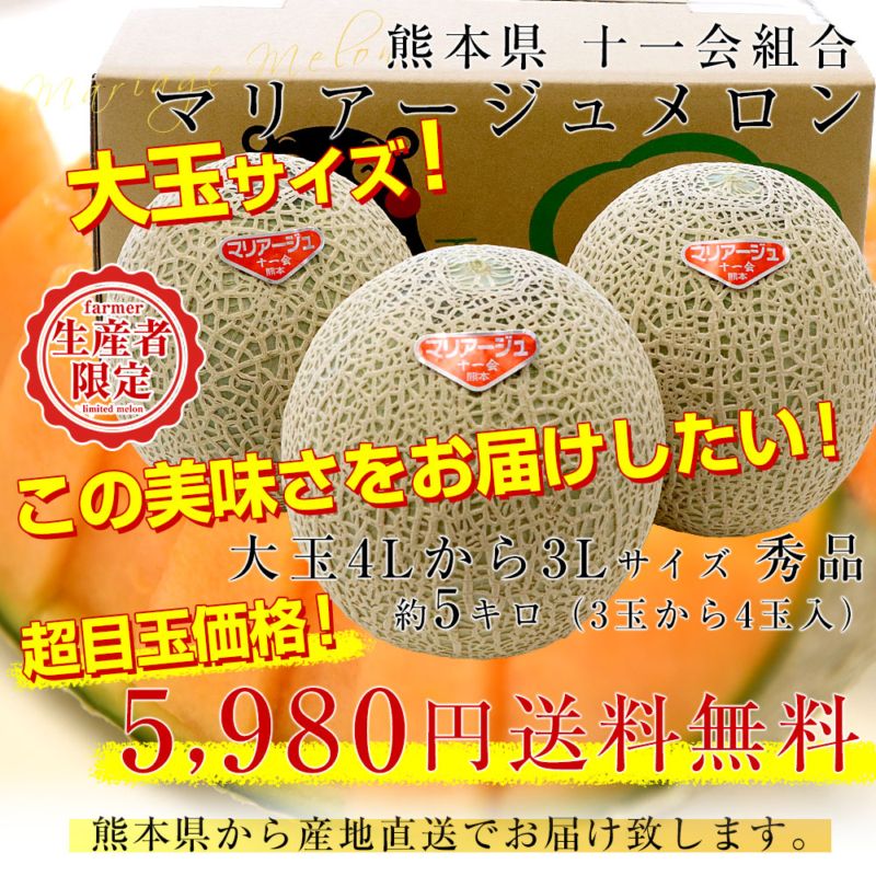 熊本県から産地直送 十一会組合 マリアージュメロン 秀品 大玉4Lから3L