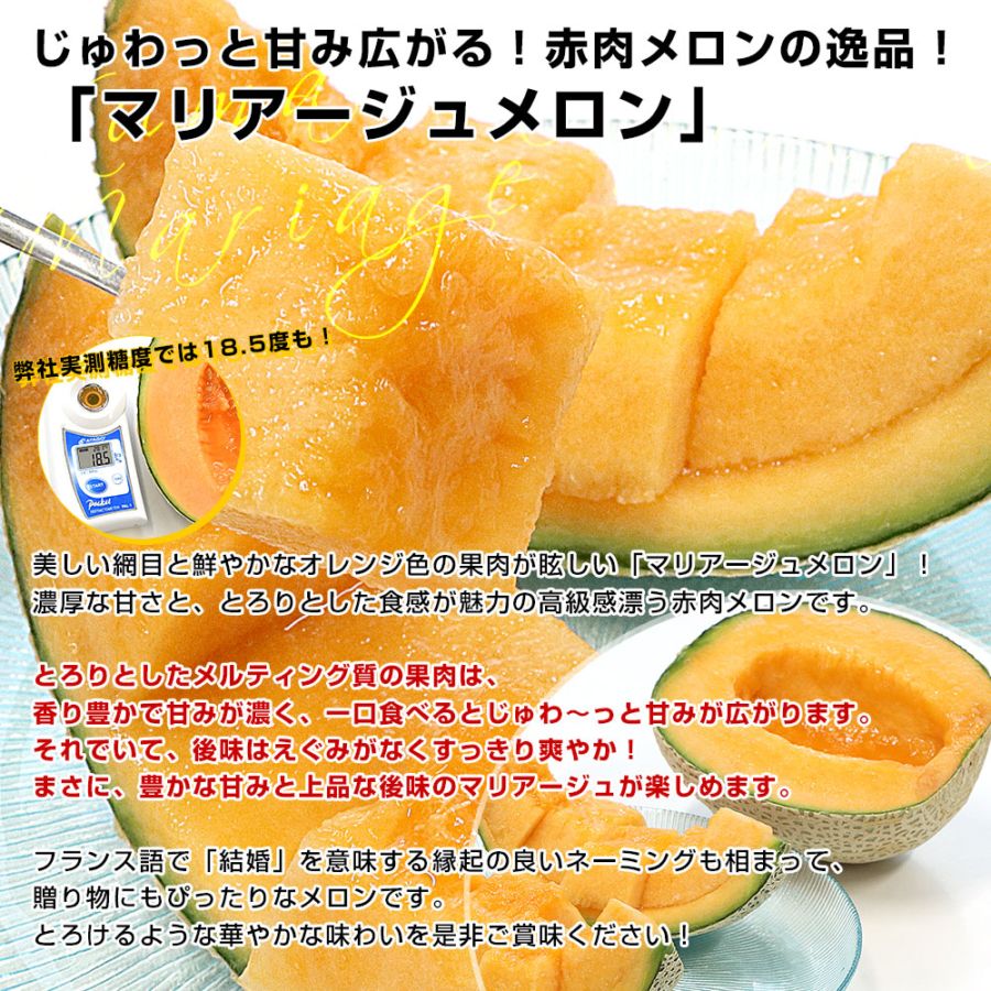 熊本県から産地直送 十一会組合 マリアージュメロン 秀品 大玉4Lから3L