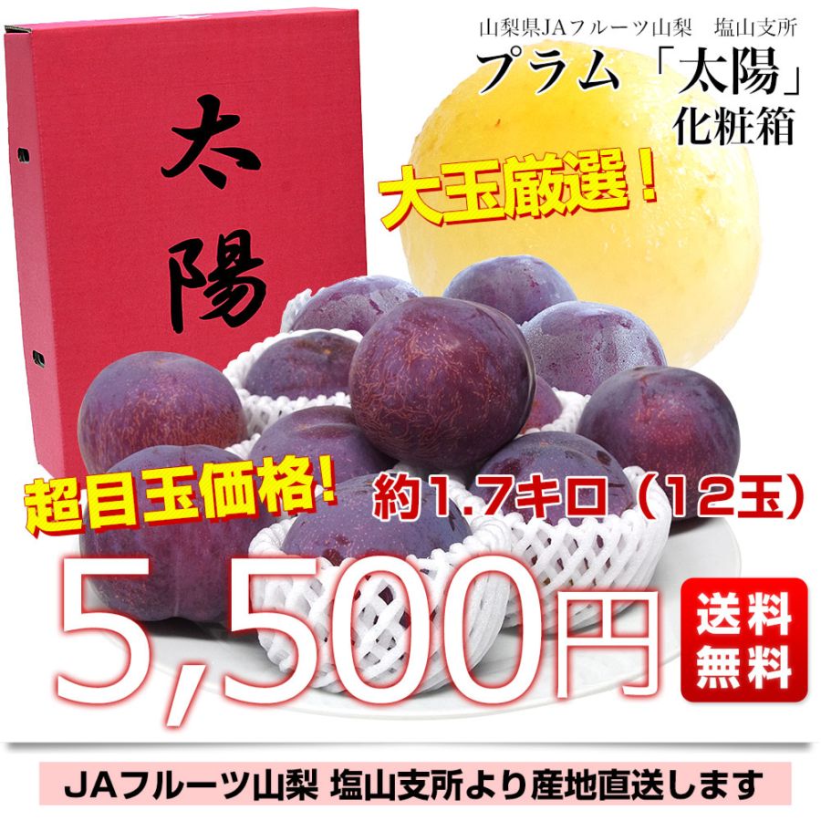山梨県より産地直送 JAフルーツ山梨 塩山支所 高級プラム「太陽」 大玉