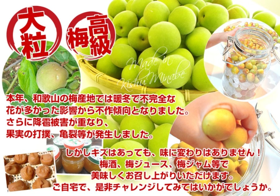 50 おかき様　中熟南高梅　訳あり2L-3Lサイズ　14キロ 50 おかき様 中熟南高梅 訳あり2L-3Lサイズ 14キロ 50