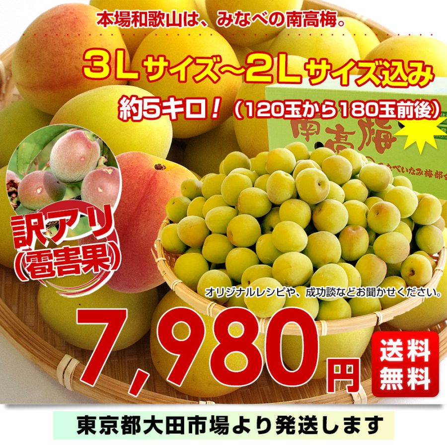 南高梅 4l」の人気商品一覧 | 安い商品を通販サイトから探す
