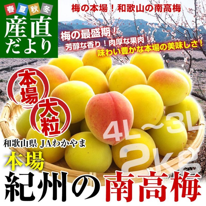 �²λ����� JA�狼��� ����������� ��γ 4L����������3L������ ���� ��2������40�̤���60�����������̵�� ��  �ߴ��� �߼� �ߥ�� �ߥ����