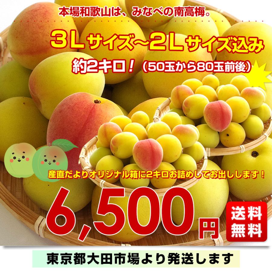 YUKA南高梅3L4L混合20キロ 紀州南高梅 朝採り 当日発送 梅干用 優品 大きなサイズ 3L 4L混合 5kg