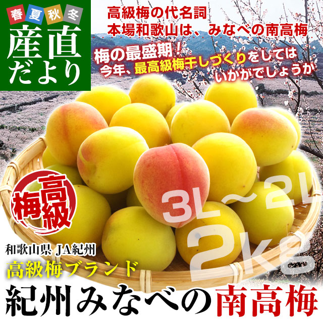 和歌山県産 JA紀州 みなべの南高梅 3Lサイズから2Lサイズ 秀品 約2キロ