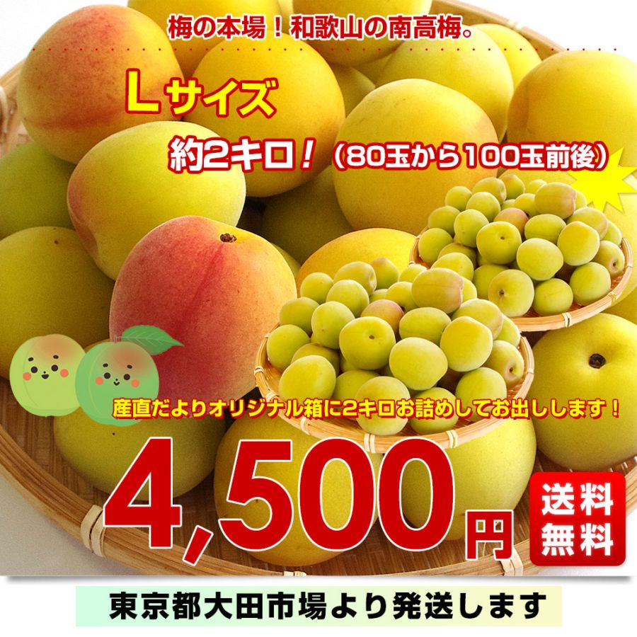 和歌山県産 JAわかやま 紀州の南高梅 Lサイズ 秀品 約2キロ（80玉から