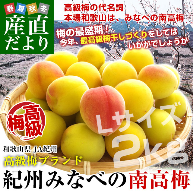 和歌山県産 JA紀州 みなべの南高梅 Lサイズ 秀品 約2キロ（80玉