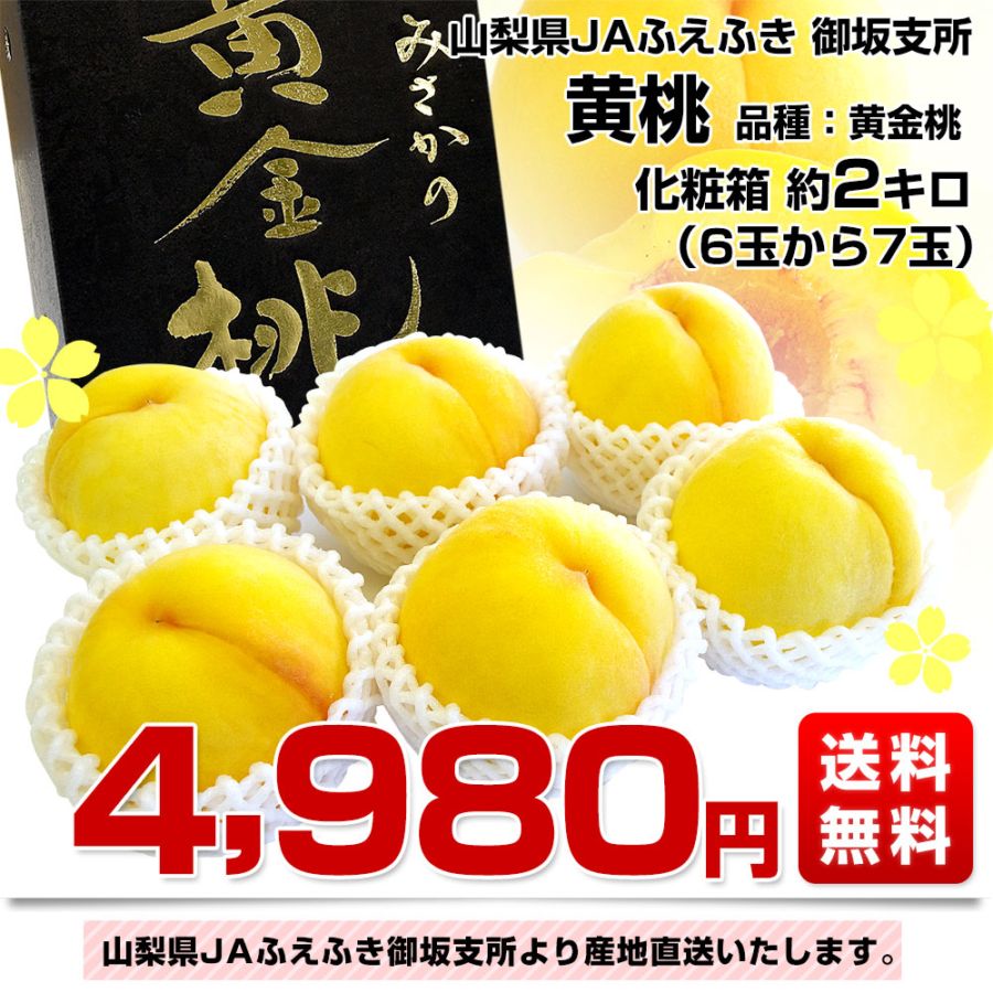 山梨県より産地直送 JAふえふき 御坂支所 黄桃 （品種：黄金桃）化粧箱