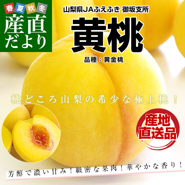 山梨県より産地直送 JAふえふき 御坂支所 黄桃 （品種：黄金桃）化粧箱