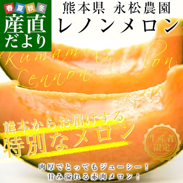 熊本県より産地直送 永松農園 レノンメロン 秀品 大玉3Lから2Lサイズ