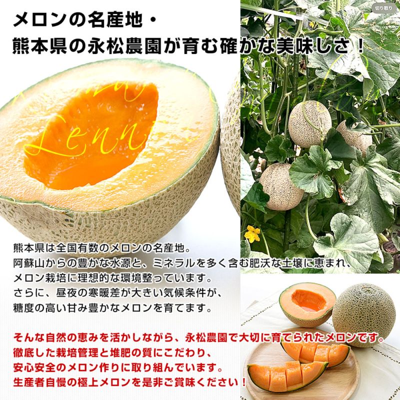 熊本県より産地直送 永松農園 レノンメロン 秀品 大玉3Lから2Lサイズ