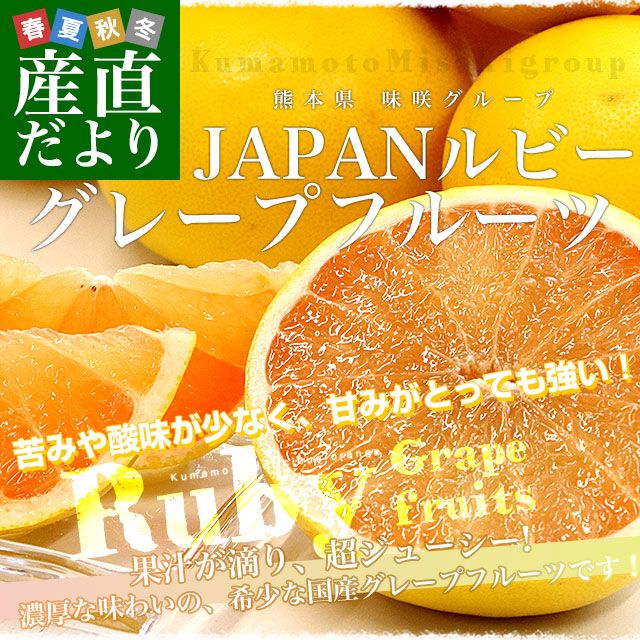 熊本県 味咲グループ 国産グレープフルーツ「JAPANルビー」 3L