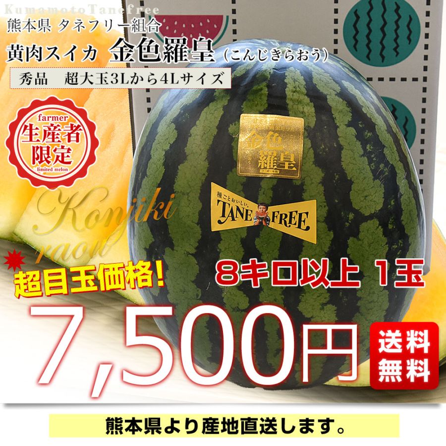 熊本県産　金色羅皇　スイカ 約10kg　現品です。 楽天市場】金色羅皇 熊本産 1玉入り（6kg以上）マツコの知ら