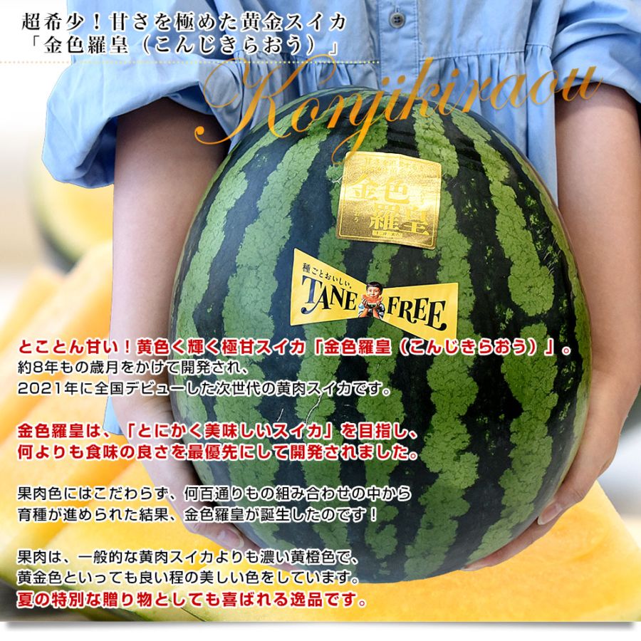 百貨店御用達！美味い！熊本産【金色羅皇】秀品6L2玉セット（23〜25k箱込） 金色羅皇 1玉入【熊本県産】約7kg すいか 大玉スイカ 厳選 旬の