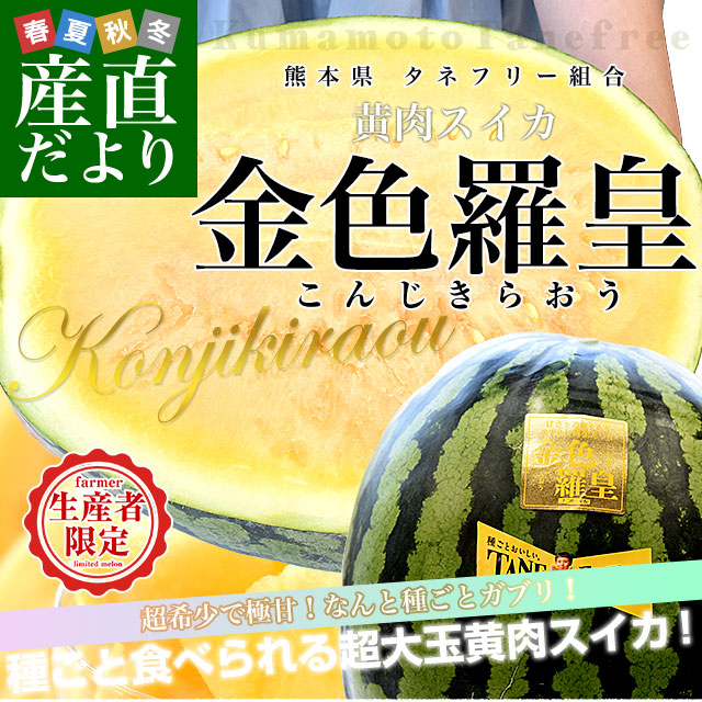 ド迫力の大きさ！抜群の出来！熊本産【羅皇】秀品10Lサイズ（1玉15kg以上） 熊本県から産地直送 タネフリー組合 超大玉スイカ「羅皇ザ