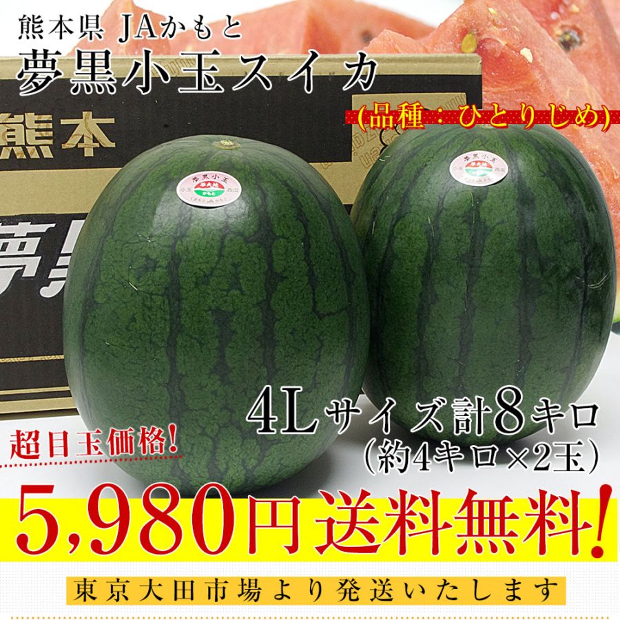 熊本県産 JAかもと 夢黒小玉スイカ(ひとりじめBONBON) 4Lサイズ 約8