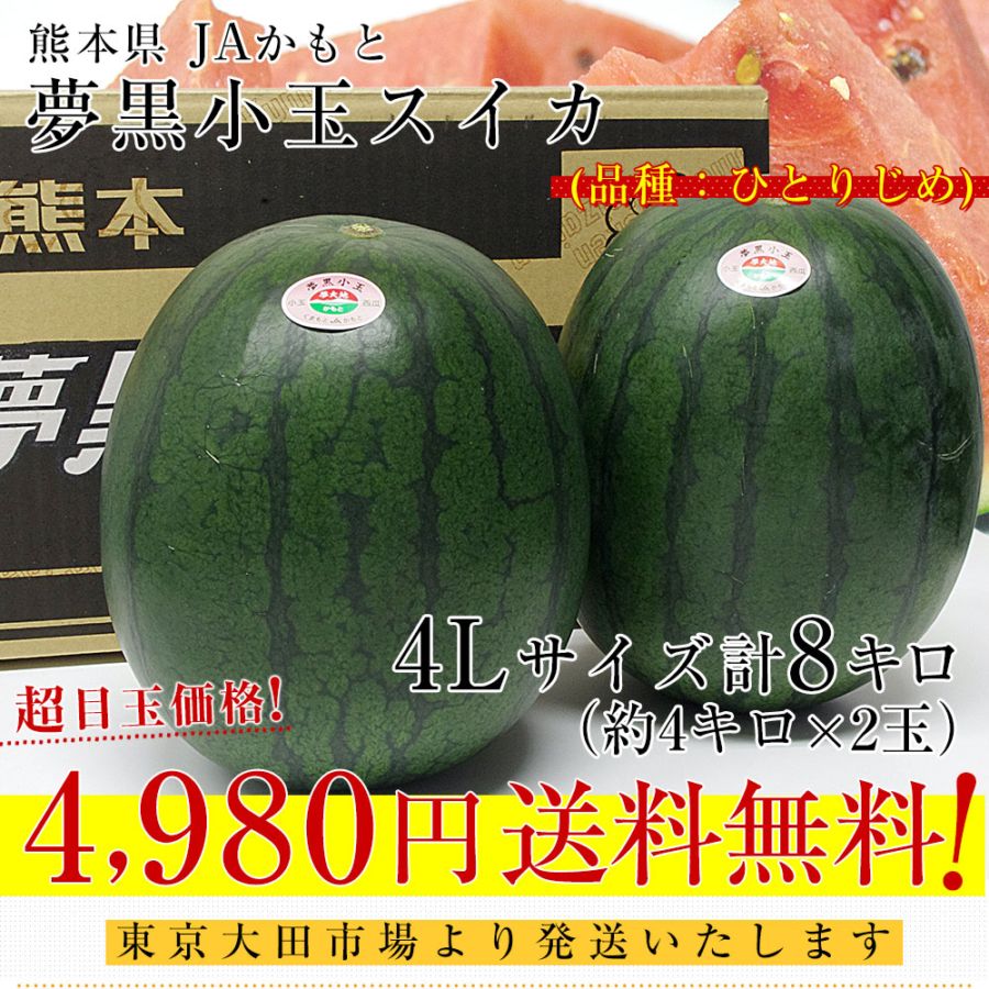 熊五郎　秀品まどんな4kg ＋南柑20号サイズ混合4.5kgぐるりん 山北みかん南柑20号 5kg家庭用