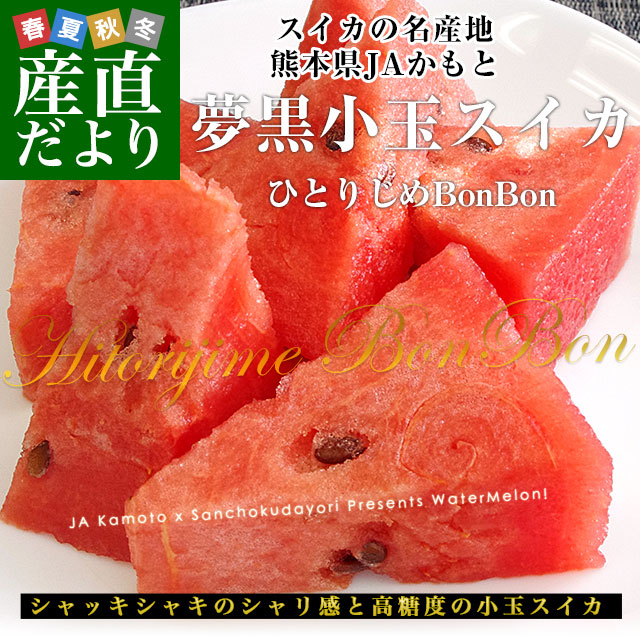 サニー様☆シロタ混じり 2キロ 糖化ひと口サイズ 800g×2 Amazon | サニープレイス ザクロ精炭酸 シャンプー