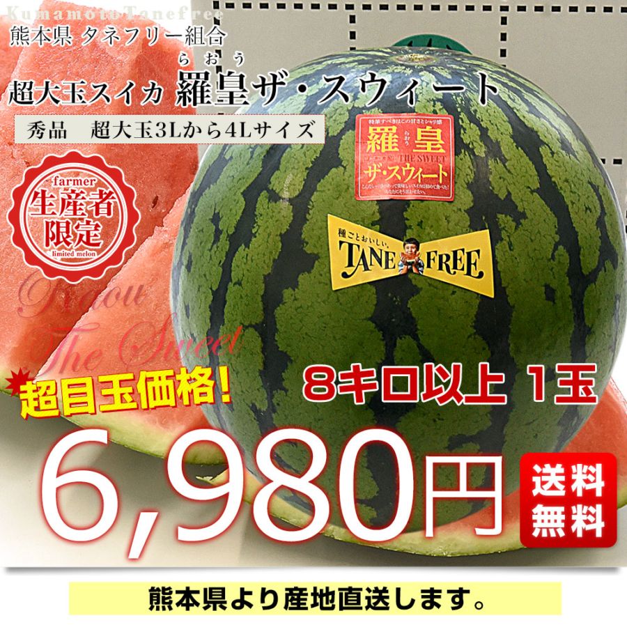 熊本県から産地直送 タネフリー組合 超大玉スイカ「羅皇ザ